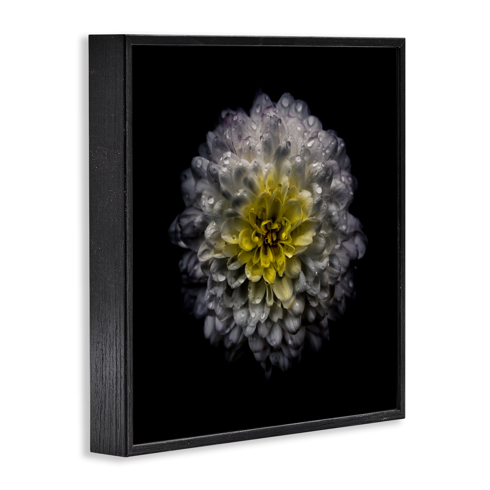 White And Yellow Mum Black Framed Giclee Art, design by Brian Carson Photography