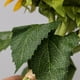 thumbnail image 5 of Kearding 6 uds./paquete de flores artificiales de simulación de girasol, decoración para el hogar y la Oficina, girasol falso Flores artificiales Kearding HA7102-00, 5 of 6