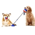 thumbnail image 2 of Suministros Para Perros Molares Bola Resistente A Mordeduras Succionador Fuerte Juguete Para Perros Suministros Para Mascotas Minnieouse PT001441-02, 2 of 7