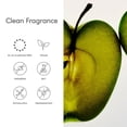 thumbnail image 3 of Bruma aromática para cabello y cuerpo Evereden, protagonista principal, Clean Vegan, 3 of 8