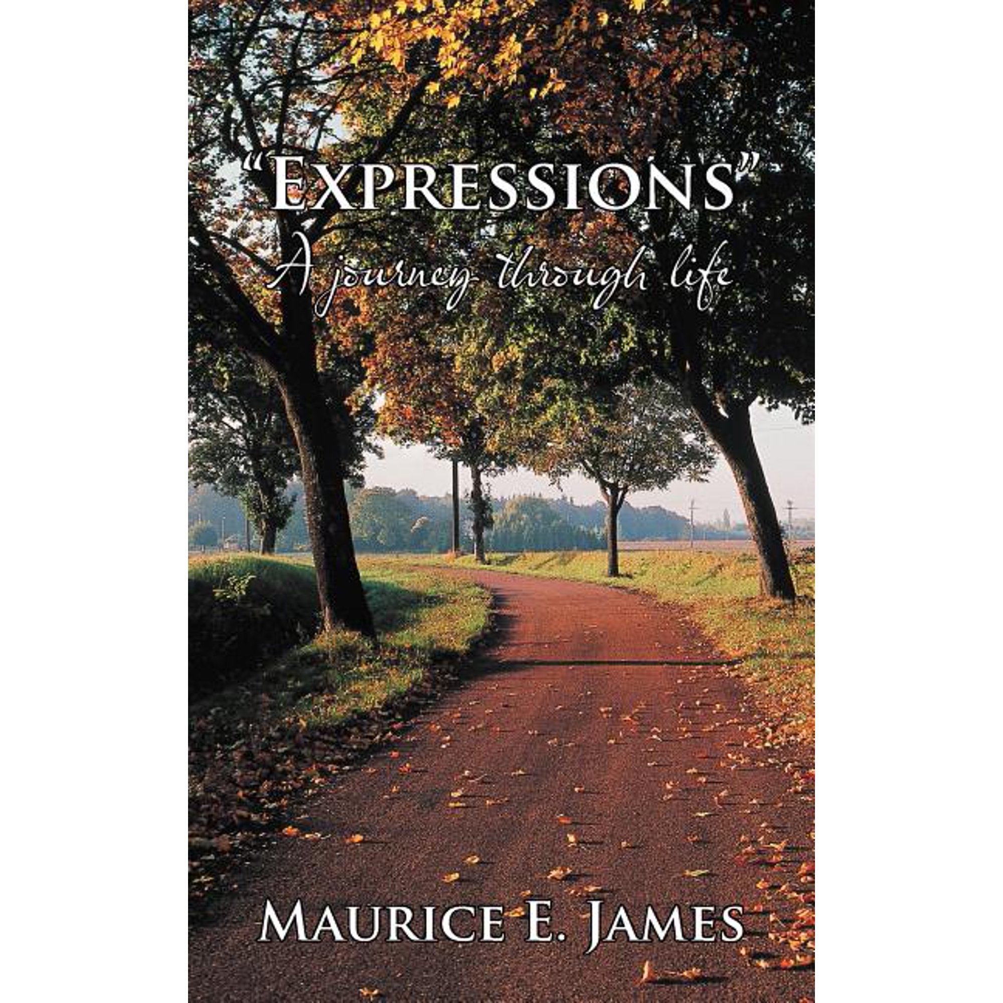 Expressions: A Journey Through Life (Paperback)