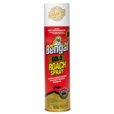 Bengal Gold Roach Killer, Pest Control Insect Spray and Roach Prevention Treatment, 9 Oz. Dry Aerosol (Best Over The Counter Roach Killer)