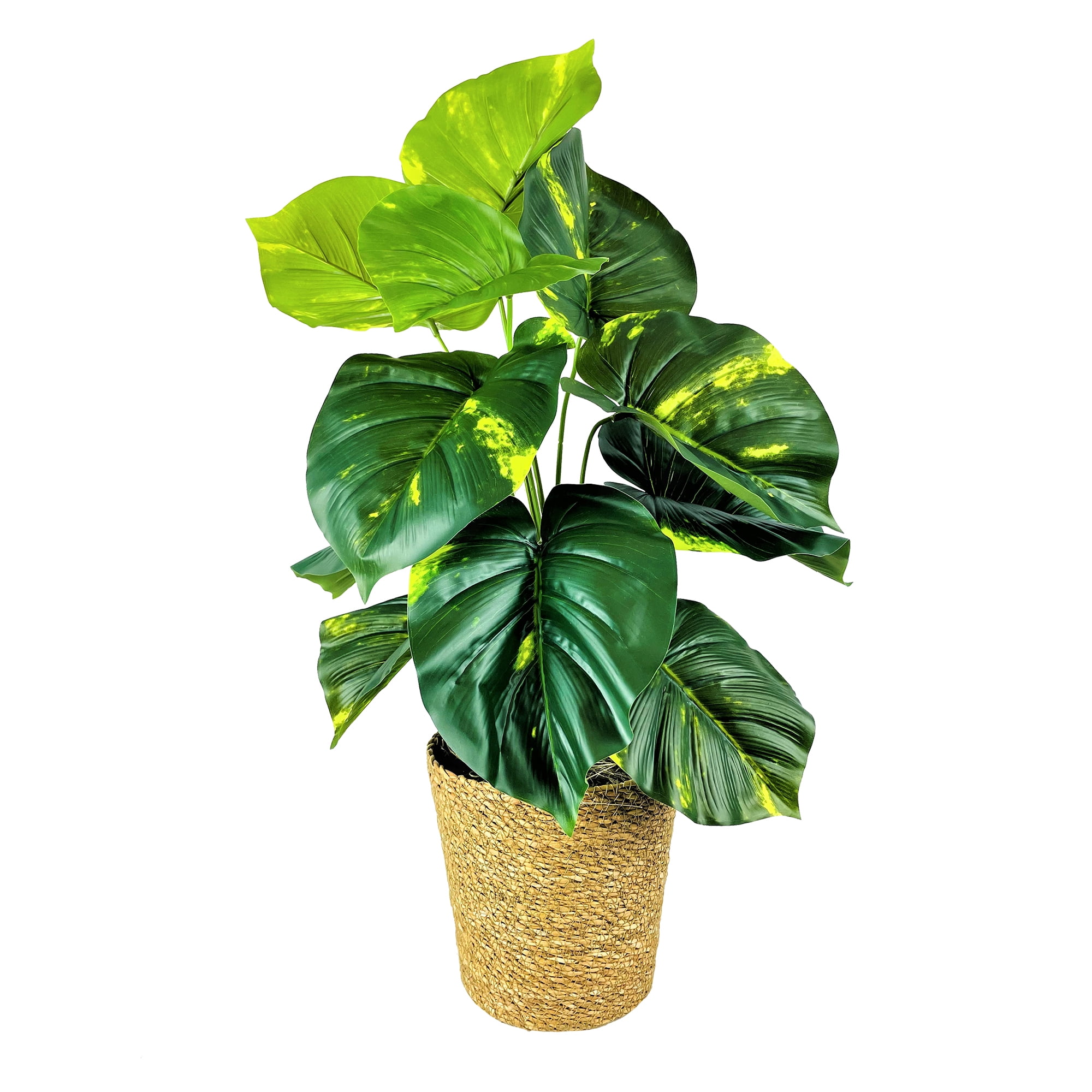 LCG Florals Artificial Plant, Pothos Plant, 2.5 ft, Natural Decorative Basket