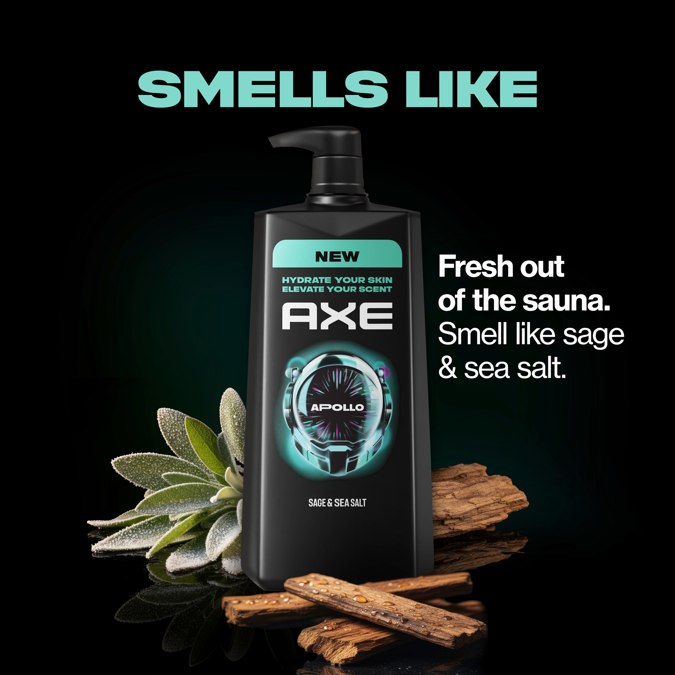 Axe Apollo Body Wash Sage & Cedarwood photo 5