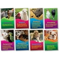 thumbnail image 2 of North Star Teacher Resource Nst3061 Kindness & Respect Bb Set, 2 of 2