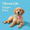 thumbnail image 4 of Vibrant Life Adjustable Bow Tie Fashion Dog Collar, Multicolor, S, 4 of 12