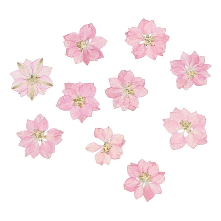 

Etereauty Nail Driedflower Flowersdiy Pressed Decoration Pendant Jewelrycrafts Decors Floral Supplies Handicrafts Design Material