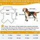 thumbnail image 5 of Chubasquero de seguridad para perros y mascotas de PU con tira reflectante, Poncho con capucha transpirable, ligero e impermeable (L), 5 of 5
