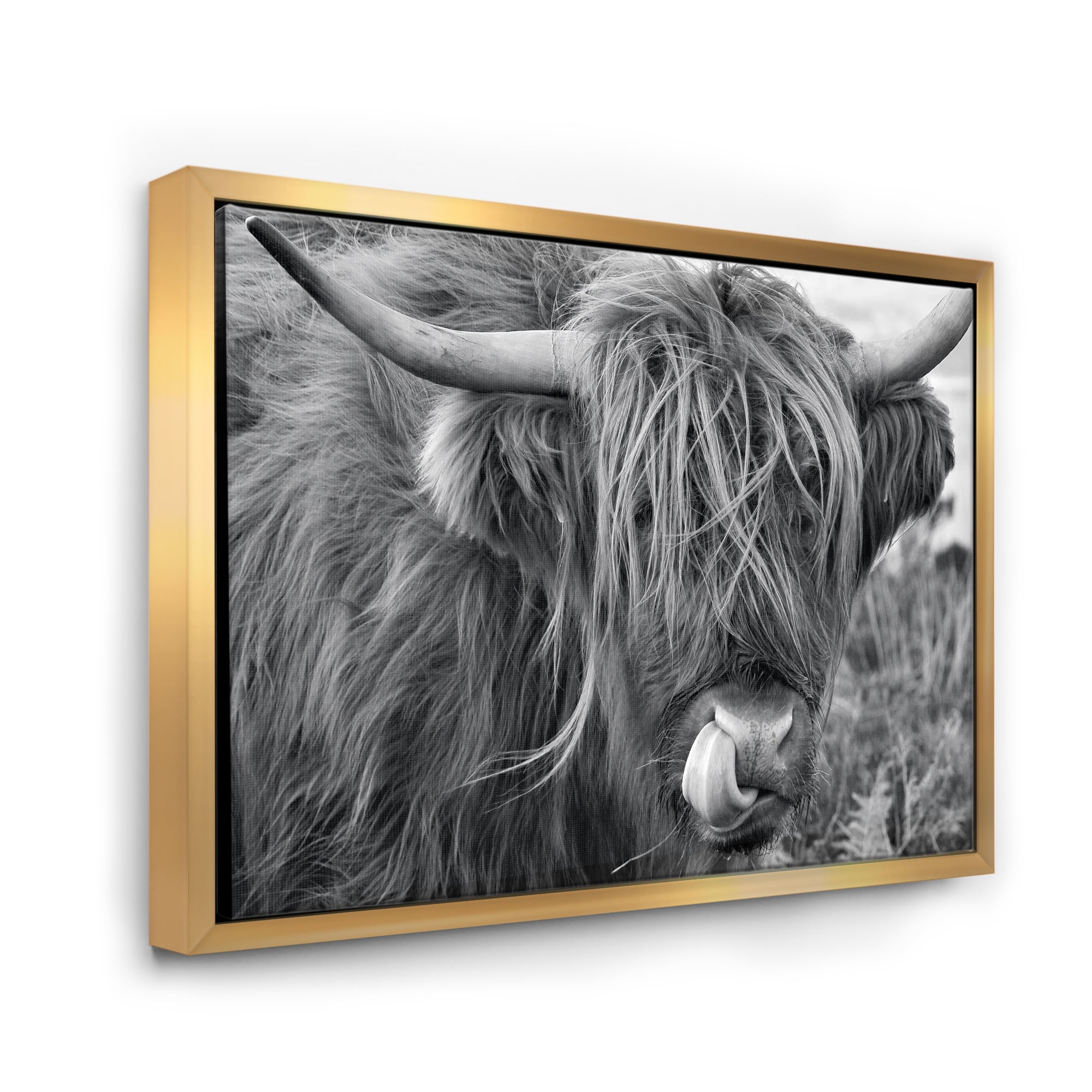 Close Up Of Scottish Cow On Moorland II 20 in x 12 in Framed Photography Canvas Art Print, by Designart