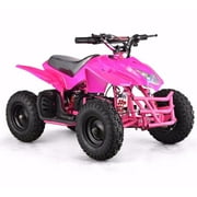 Titan 24V 350W Electric Quad Battery-Powered MINI ATV, Pink