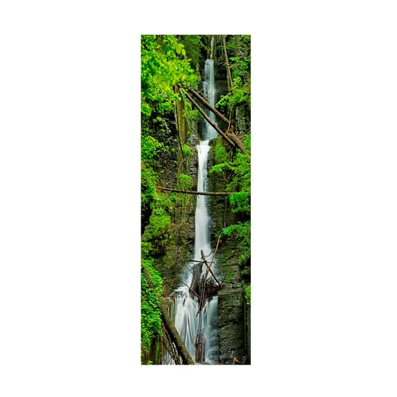 James McLoughlin 'Vertical Falls II' Canvas Art