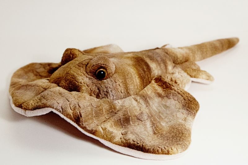 giant stuffed stingray