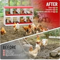 thumbnail image 5 of Kojooin Durable Metal Chicken Nesting Boxes - Versatile Wall Mount or Free Standing, Red _8 Compartment (Without Stand), 5 of 7