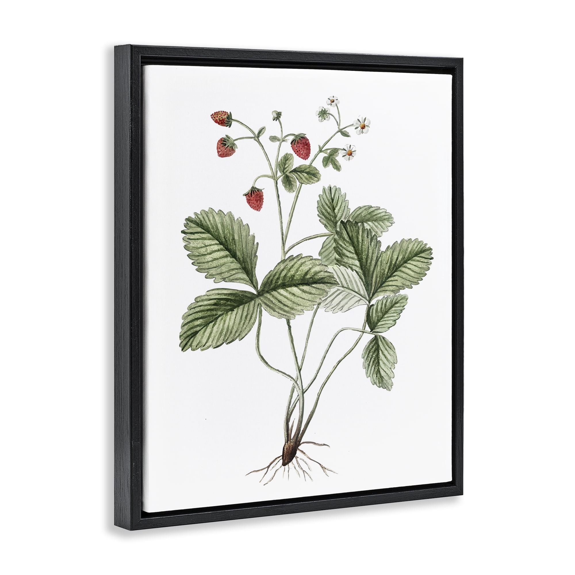 Stupell Industries Budding Strawberries Study Food & Beverage Painting Black Floater Framed Art Print Wall Art, 17 x 21