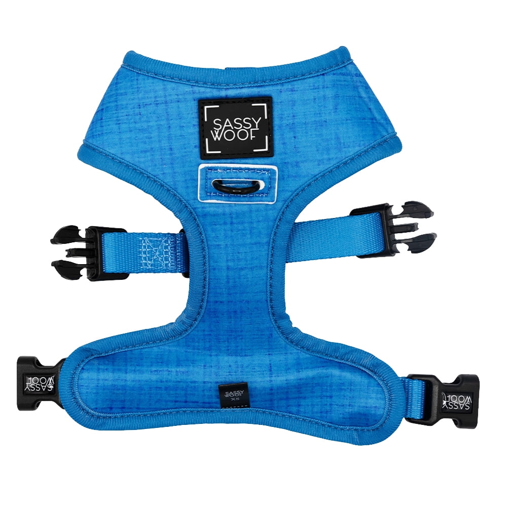 Sassy Woof Comfort Dual-Clip Reversible Dog Harness - Lemonade Stand, Extra Small