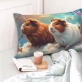 thumbnail image 4 of Rateoe Cloud Guinea Pig Pattern Decorative Pillow Case,Throw Pillow Covers,Plush Pillow Cover,Soft Pillow Case,Velvet Pillow Case-20"x30", 4 of 6