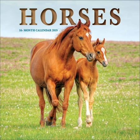 2019 Horses 2019 Mini Wall Calendar,  by Vista Stationery & Print