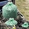 thumbnail image 2 of STOR-A-FILE, INC E4248E85 EcoSafe6400 Compostable Compost Bags.85mil, 42 x 48, Green, 40/Box, 2 of 2