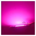 thumbnail image 4 of LED Grow COB Light Chip Full Spectrum AC 10W 20W 30W 50W No need driver For Growth Flower Seedling Grow Plant Lighting, 4 of 6
