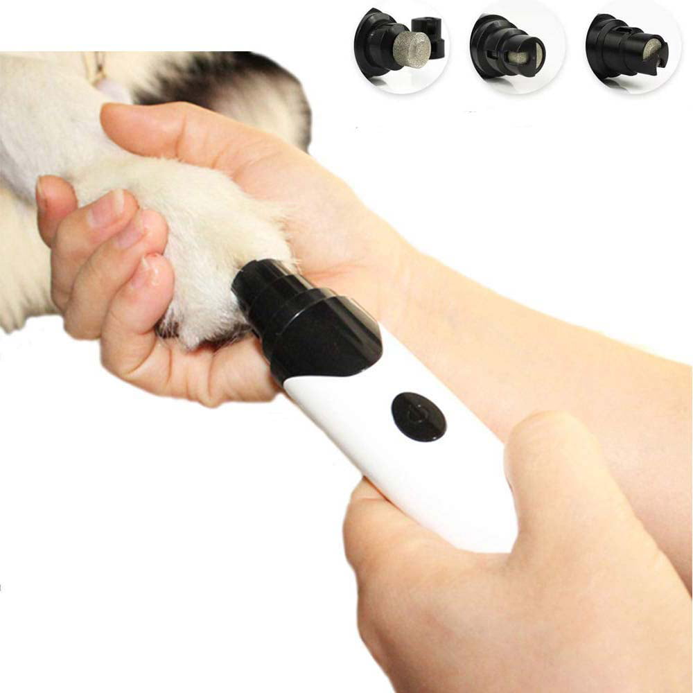 nail trimmer for cats