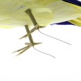 thumbnail image 4 of Simulación de plumas artificiales loro pájaro modelo animal juguete decoración del hogar L Zulema Juguete de loro de simulación, 4 of 8