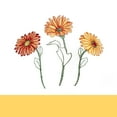 thumbnail image 3 of Gerbera Daisy Embellished Cottage Window Curtain Set - 58x36, 3 of 5