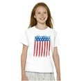 thumbnail image 5 of USA Vertical Distressed American Flag Crewneck T Shirts Boy Girl Teen Brisco Brands L, 5 of 6