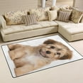 thumbnail image 2 of Coolnut Lightweight Non Slip Carpet Mats 60 x 39 inch (5'x 3'3"), Area Soft Rugs Floor Mat Rug Decoration for Kids Room Living Room Cute Havanese Puppy Dog, 2 of 6