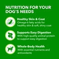 thumbnail image 6 of (12 pack) Iams Proactive Health Beef, Rice, Carrots, And Green Beans Gravy Wet Dog Food, 13 Oz Can, 6 of 11