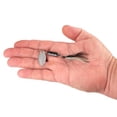 thumbnail image 3 of Berkley Dough Rider, 1/16 oz, Black/Silver, 3 of 3