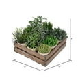 thumbnail image 2 of Vickerman 8" Artificial Potted Garden Grass., 2 of 2