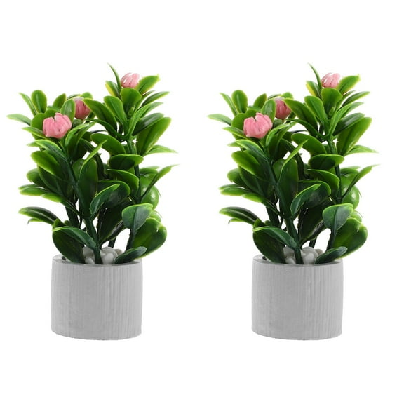 2 Pieces Miniature Cement Pot Plant Ob11 Dollhouse Accessories ( ) Miniaturas Tiny Bookshelf Model Artificial Potted Flowers Models Ornament Desktop Toy Room Plastic