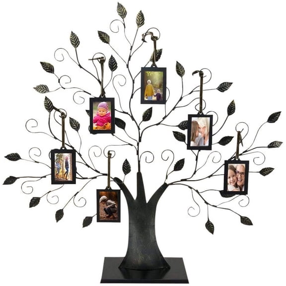 Maypes Family Tree Photo Frame Display, Brushed Bronze, 6 Hanging Picture Frames with Detachable Base