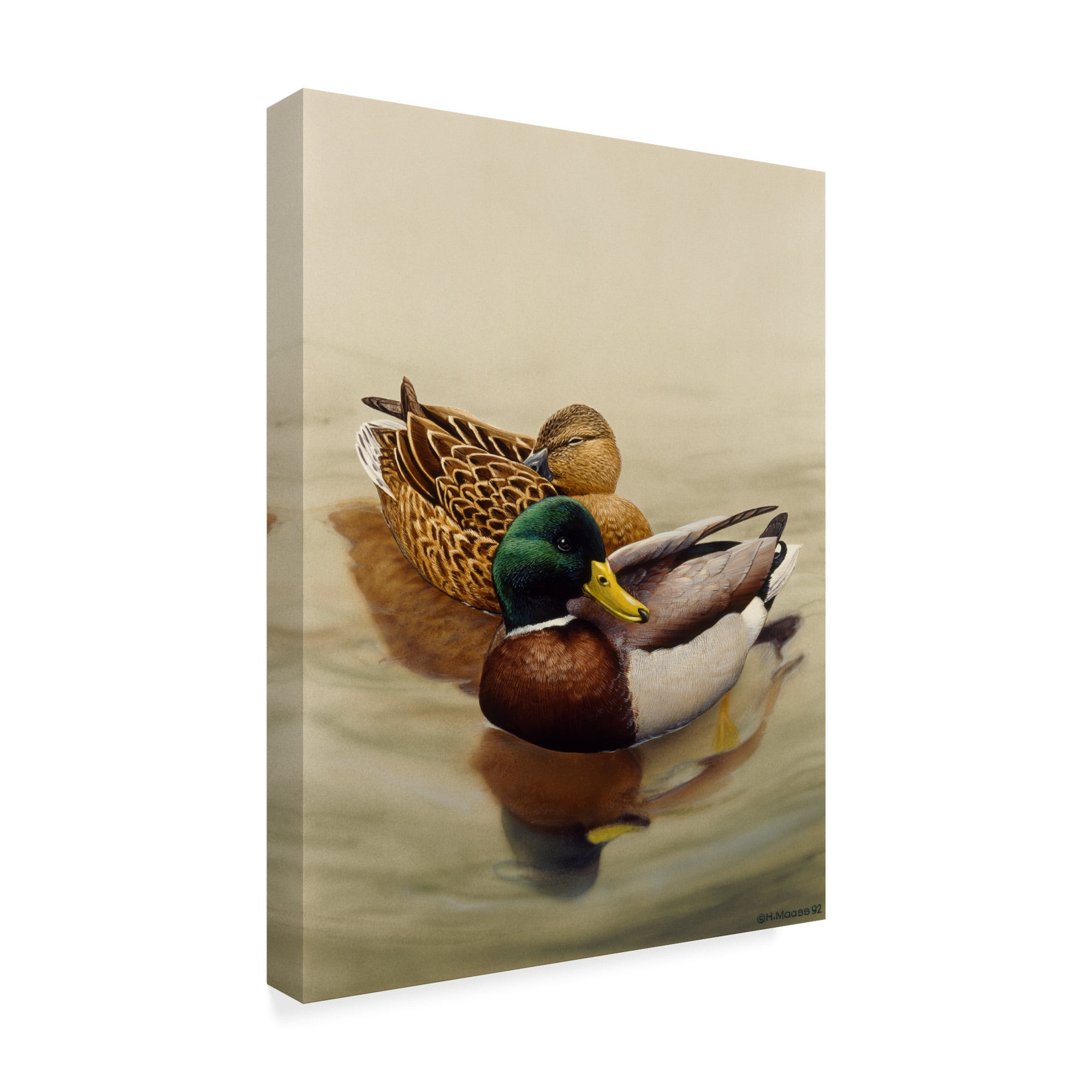 Trademark Fine Art 'Mallard Brown Lake' Canvas Art by Harro Maass