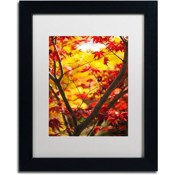 Trademark Fine Art "Morning Jive" Canvas Art by Philippe Sainte-Laudy White Matte, Black Frame