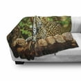 thumbnail image 3 of Zoo Soft Flannel Fleece Throw Blanket, Jaguar on Wood Floor Wildlife Animals Feline Big Cat Mammal Predator Resting, Cozy Plush for Indoor and Outdoor Use, 70" x 90", Green Yellow Brown, by Ambesonne, 3 of 6