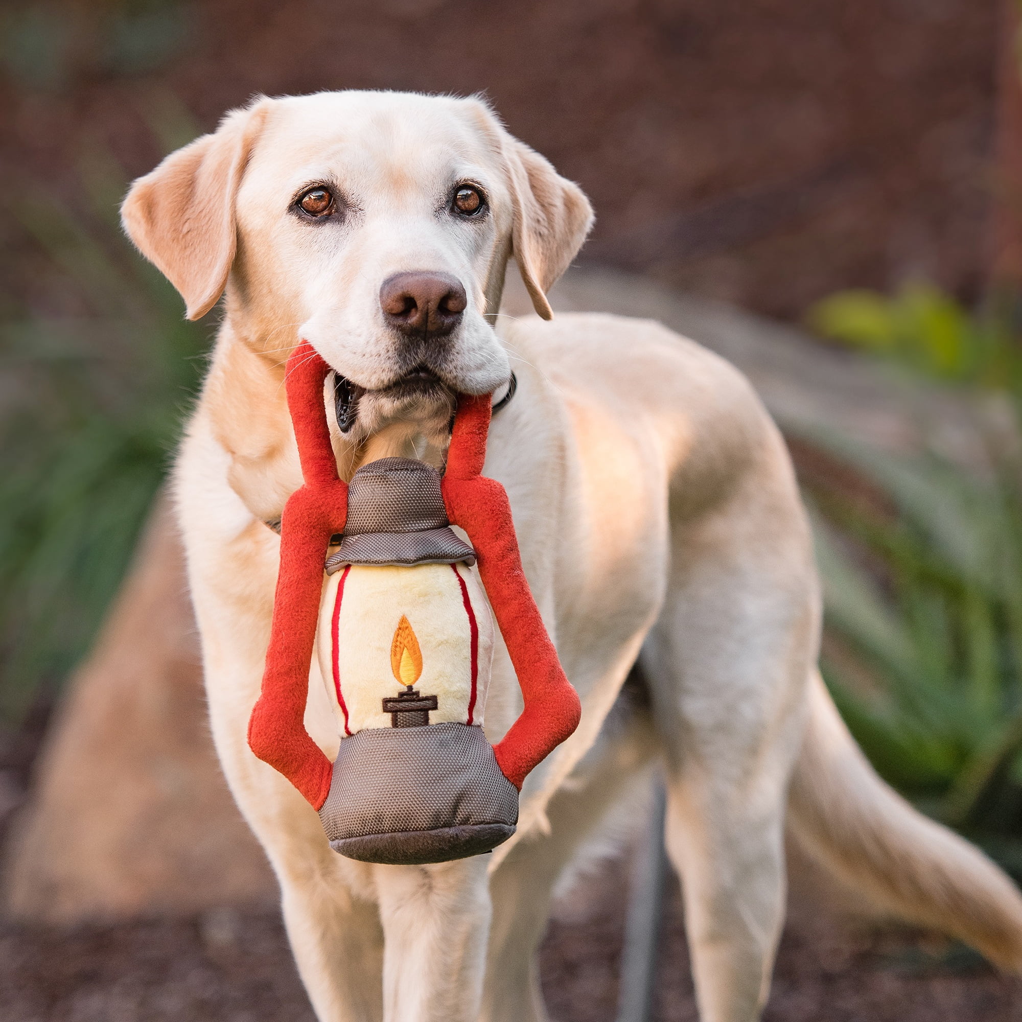 Camp Corbin Collection: Pack Leader Lantern Pet Chew Toy