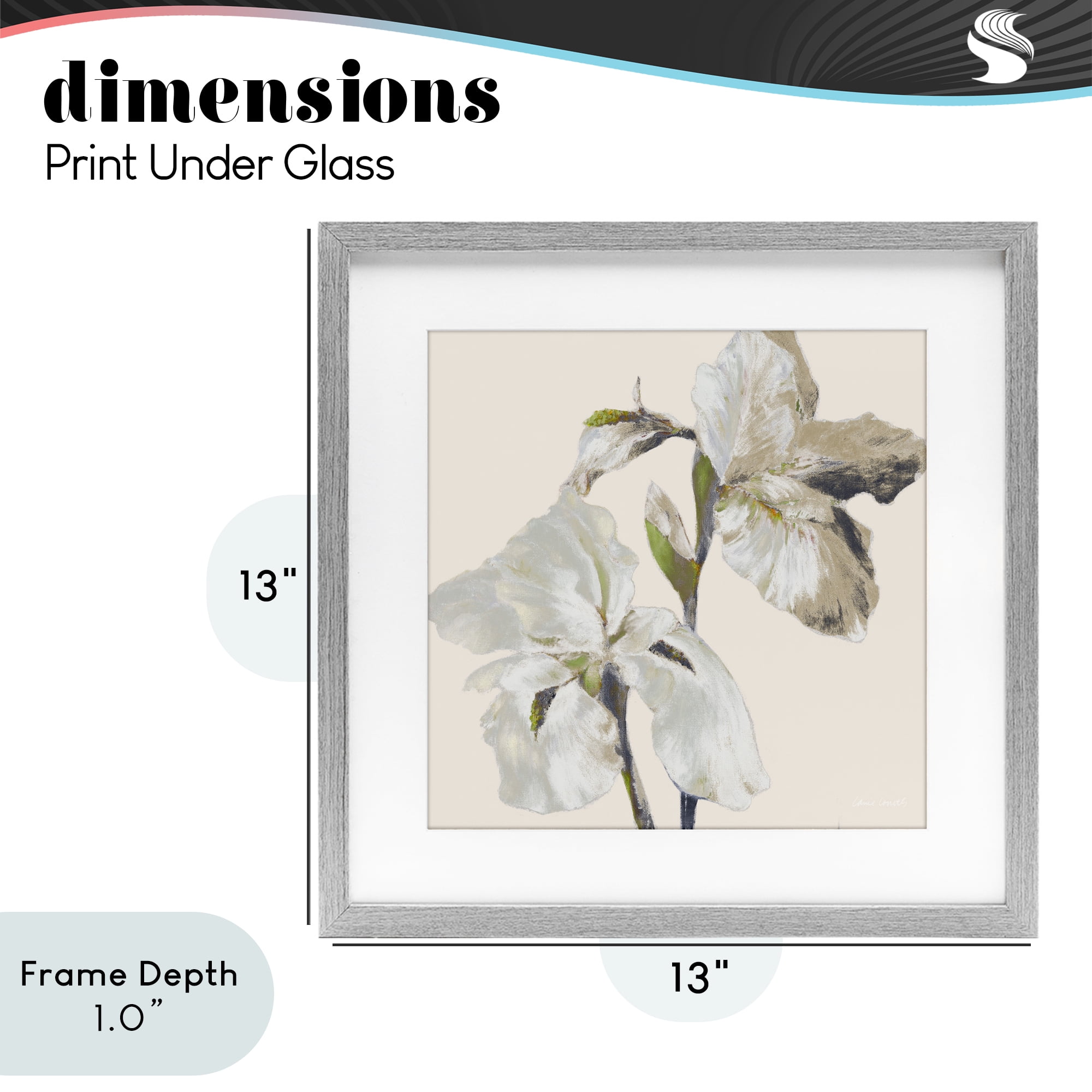 Stupell Industries Irises Soft Beige Gray Framed Print Under Glass, design by Lanie Loreth