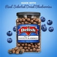 thumbnail image 2 of Gourmet Milk Chocolate Covered Blueberries - by It's Delish, 3 LBS Jumbo Container Jar  Bulk Chocolate Coated Dried Fruit Berries for Parties Snacking & Dessert  Kosher Dairy, 2 of 7