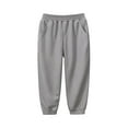 thumbnail image 3 of LTTVQM Fall Winter Pants For Boys Pants For Boys 4-10 Active Athletic Workout Jogger Pants With Pocket And Elastic Waist Sport Joggers Gray 6-7 Years, 3 of 3