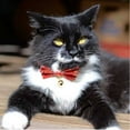 thumbnail image 2 of Necoichi Kimono Bow Tie Cat Collar (Red), 2 of 5