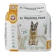 thumbnail image 1 of Almohadillas de Entrenamiento Arm & Hammer para Perros de Té Verde 50 Unidades, 1 of 7