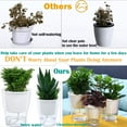 thumbnail image 4 of Yirtree Self-Watering Planter, Clear Plastic Automatic-Watering Planter Flower Pot Square-Plant-Pot for All Plants, Succulents, Herb, African Violets, Flowers, 4 of 8