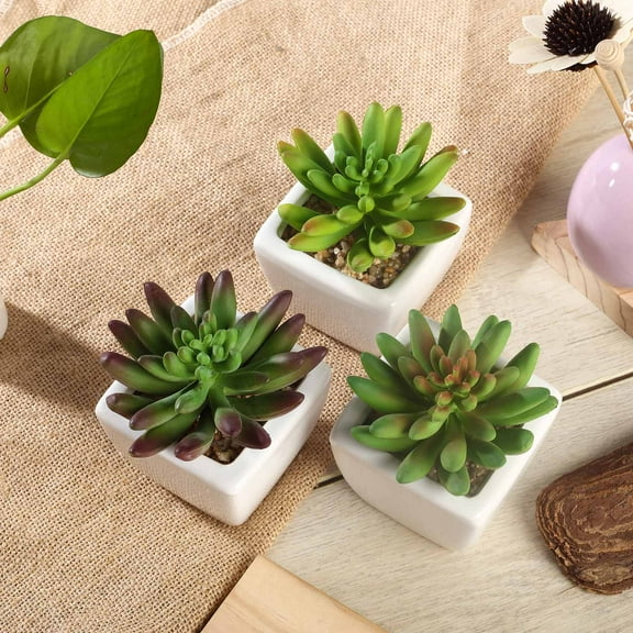 Efavormart Set of 3 | 4'' Assorted Green Echeveria Artificial Faux Succulent Plants Mini Green Plant In White Ceramic Pot
