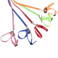 thumbnail image 4 of Trayknick Adjustable Reptile Lizard Parrot Turtle Harness Hauling Cable Rope Pet Leash, 4 of 13
