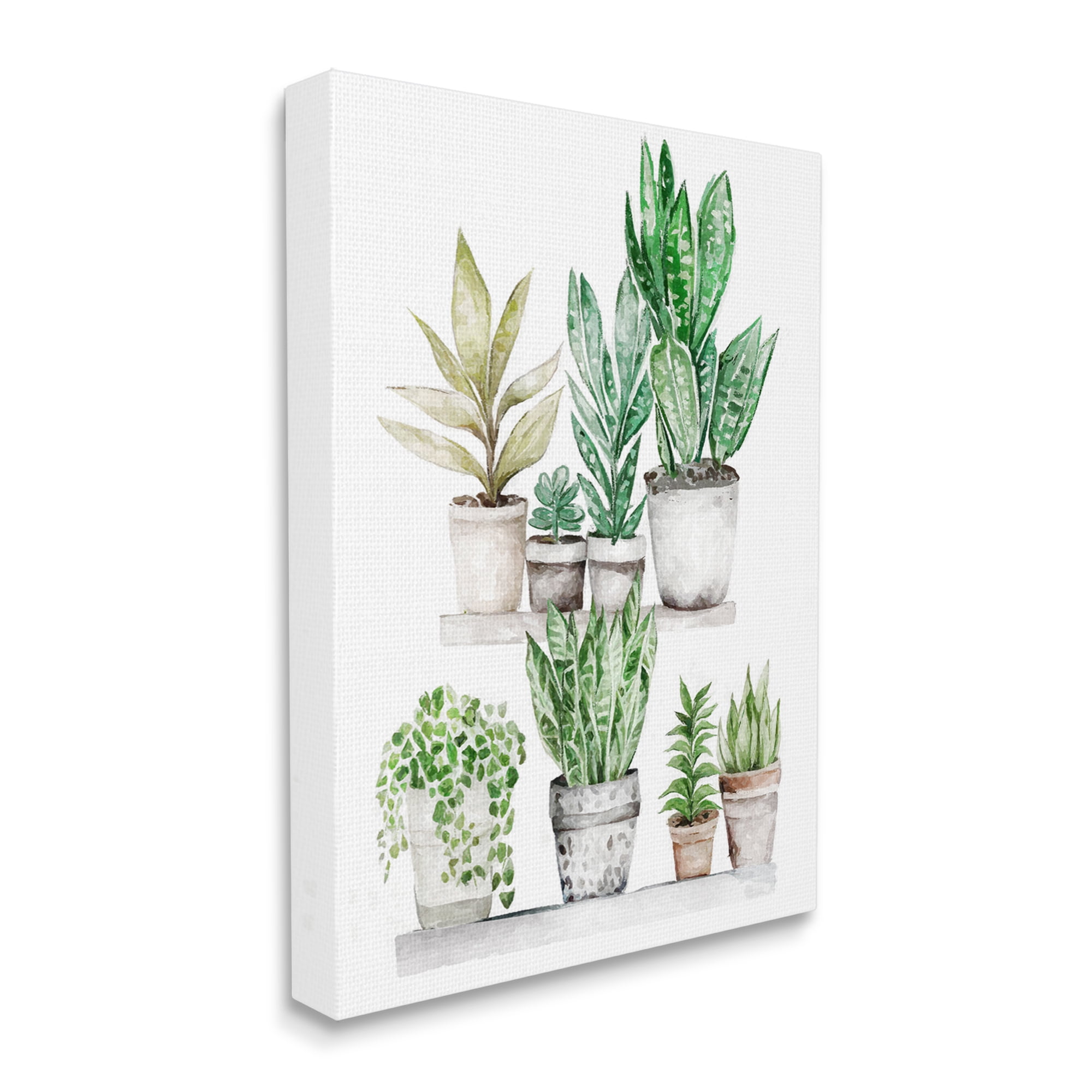 Stupell Industries Mixed Greenery Potted Ivy Plants Botanical & Floral Painting Gallery Wrapped Canvas Print Wall Art