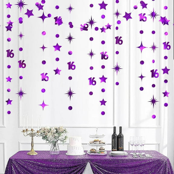 Cheerland Purple Number 16 Circle Dot Twinkle Star Garland Kit Metallic Hanging Streamer Bunting Banner Backdrop