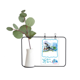 thumbnail image 1 of Los atletas de deportes de invierno Esqui Esqui Freestyle Jarrones colgantes de vidrio transparente Decoración Botella, 1 of 4
