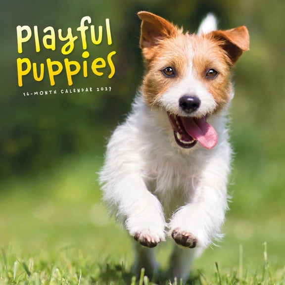 Carousel Calendars, Playful Puppies 2027 Wall Calendar