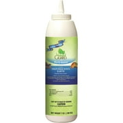 Diatomaceous Earth
